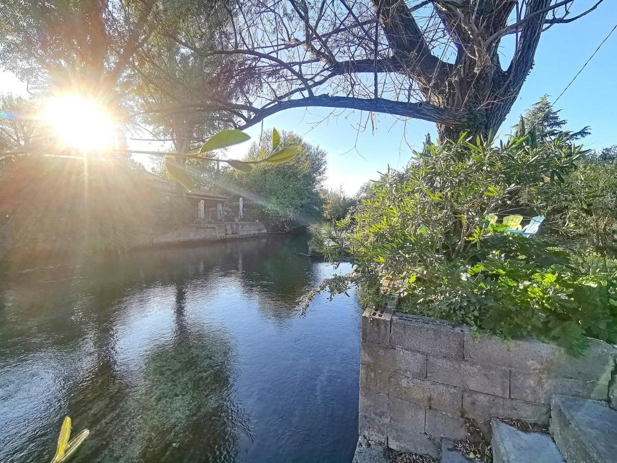 Gite L'Odonate, Partage Des Eaux LʼIsle-sur-la-Sorgue Εξωτερικό φωτογραφία